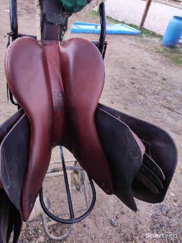 Equitation - Selle Devoucoux Biarritz T18  - photo 6