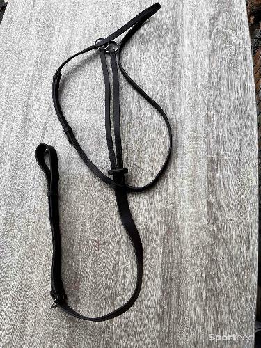 Equitation - Martingale marron cob - photo 3