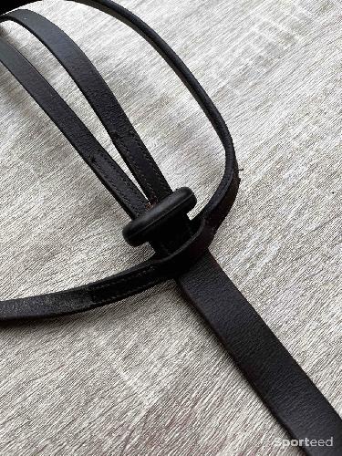 Equitation - Martingale marron cob - photo 3