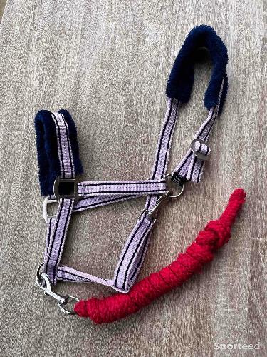 Equitation - Licol violet et longe rose taille cob - photo 5