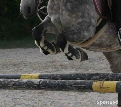 Equitation - Guêtres mouton Lami-Cell - photo 4