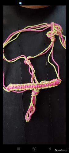 Licol éthologique rose