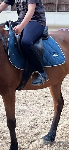 tapis equitation 🐴