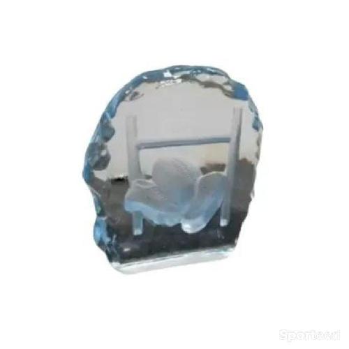 Trophée en verre de rugby