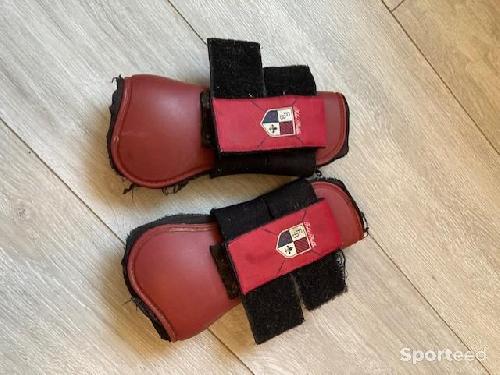 Guêtres antérieures