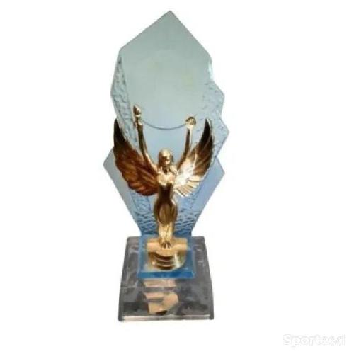 Trophée de 21cm