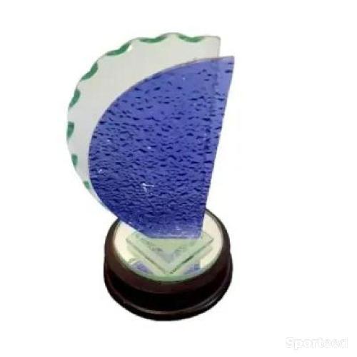 Trophée de 18cm