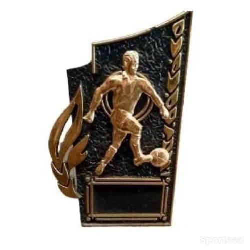 Trophée de football