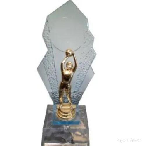 Trophée de basketball de 21cm