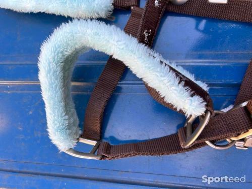 Equitation - Licol mouton bleu et brun - photo 6