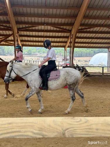 Equitation - Tapis de selle Félix rose  - photo 5