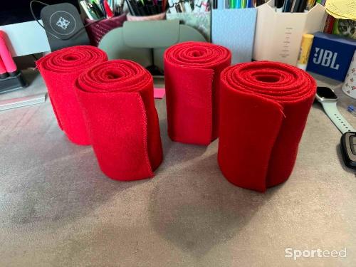 Bandes de polo poney