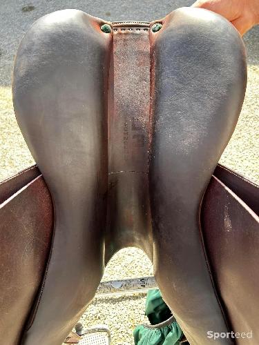 Equitation - Selle - photo 6