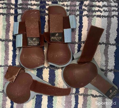 Guêtres et protège boulet cheval marron et bleu 