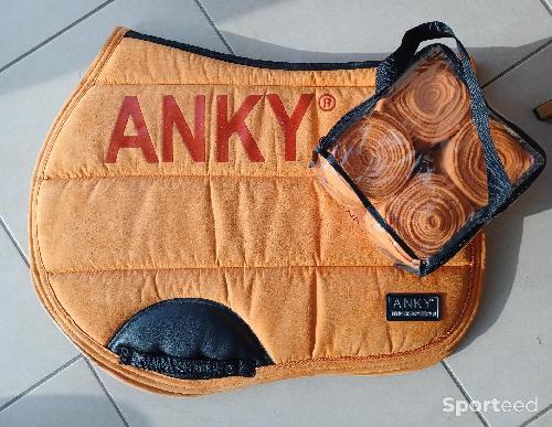 Ensemble tapis-bandes