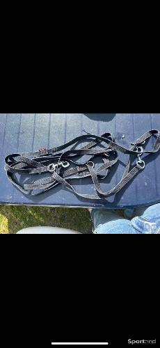 rênes allemande noire 