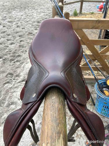 Equitation - Selle CWD monoquartier  - photo 6