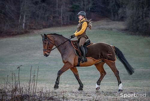 Equitation - Couvre reins pour cheval - photo 3