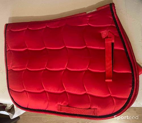 Tapis equithème