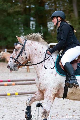 Equitation - airbag équitation.  - photo 5