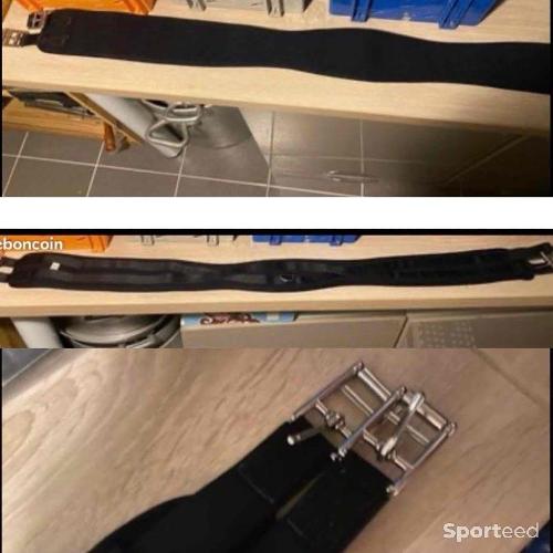 Sangle Norton anatomy