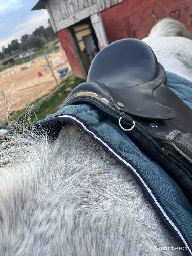 Equitation - Selle mixte  - photo 5