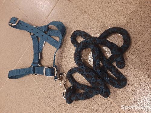 longe et licol bleu canard