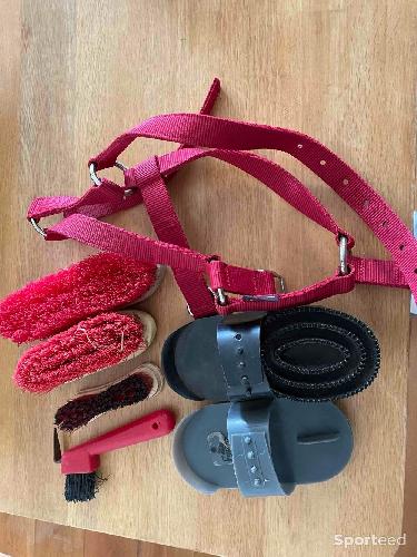 Diverses brosses + licol plat 