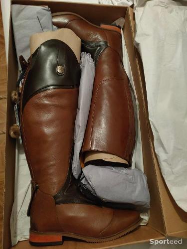 Botte mountain horse 