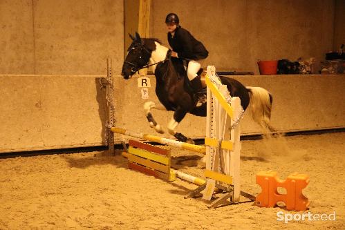 Equitation - Veste de concours équitation  - photo 3