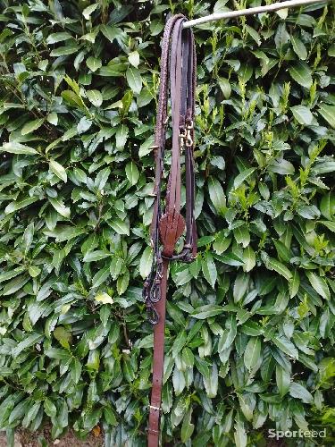 Enrênement Howlett marron