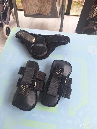 Protection guetre et protege boulet poney