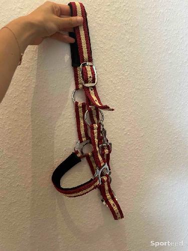 Licol rouge et beige poney