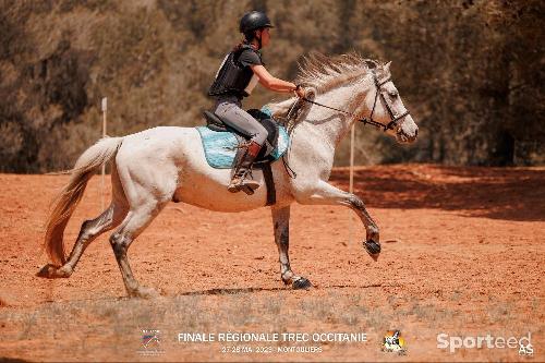 Equitation - Tapis wheatherbeeta - photo 4