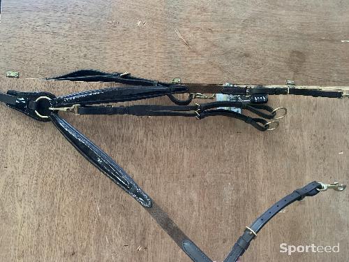 Equitation - Collier de chasse  - photo 3