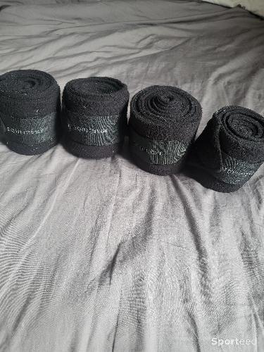 Bandes de travail cheval noir