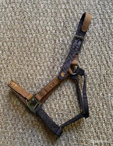 Equitation - Licol carhartt  - photo 6