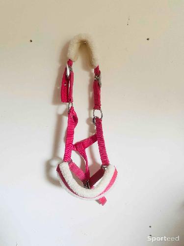 Licol moumoute rose poney