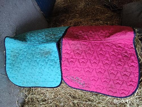 Equitation - Tapis cheval et poney  - photo 5