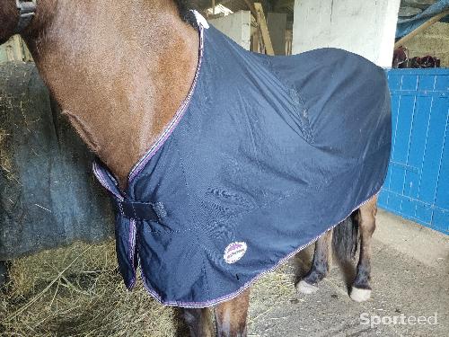 Equitation - Couverture weatherbeeta  - photo 3