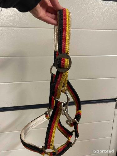 Licol taille cob ou taille 2 