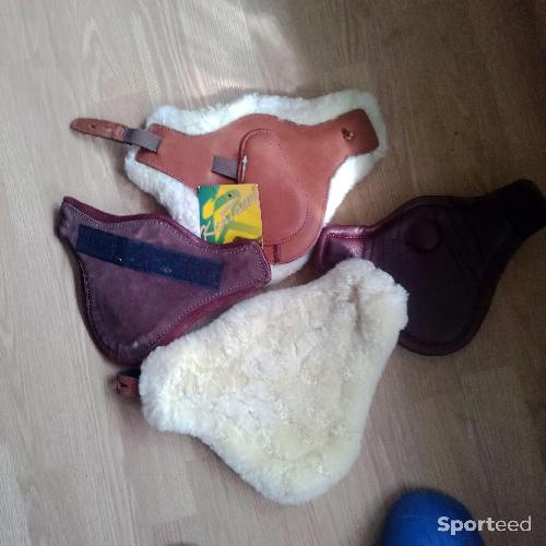 Protege boulets cheval 