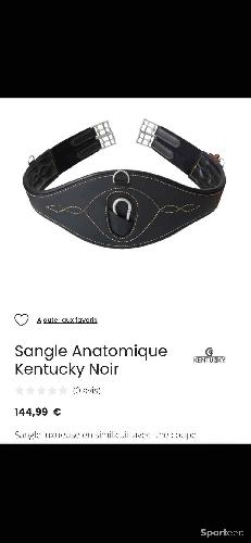 Sangle Kentucky 