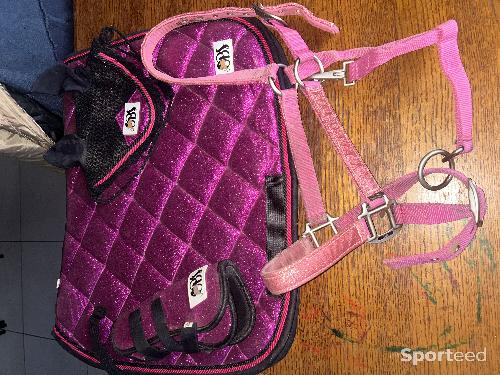 Ensemble équitation 