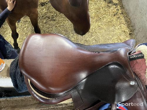 Equitation - Selle CWD - photo 5