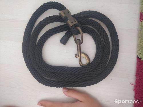 Longe noire poney cheveux 