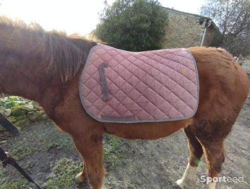 Equitation - Tapis poney  - photo 3