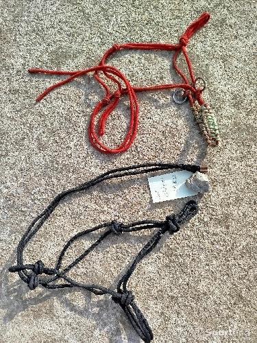 Licols éthologique cheval 