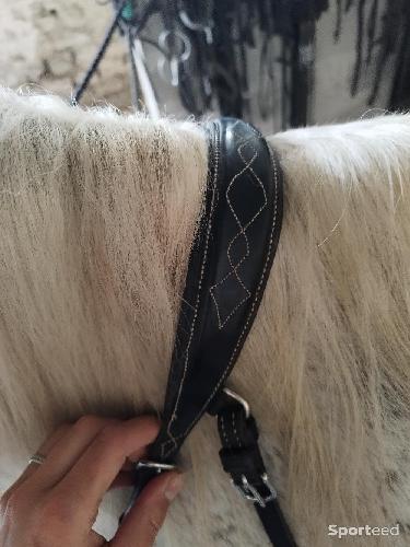 Equitation - Collier de chasse + martingale  - photo 6