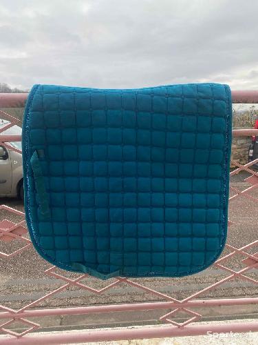 Equitation - Tapis turquoise  - photo 5